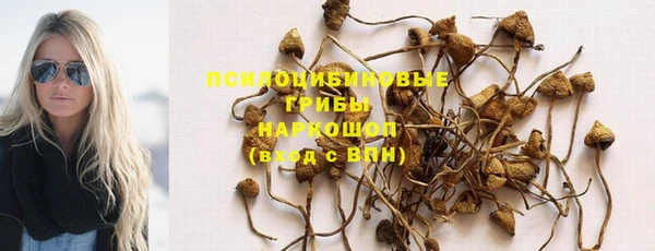 дживик Новодвинск